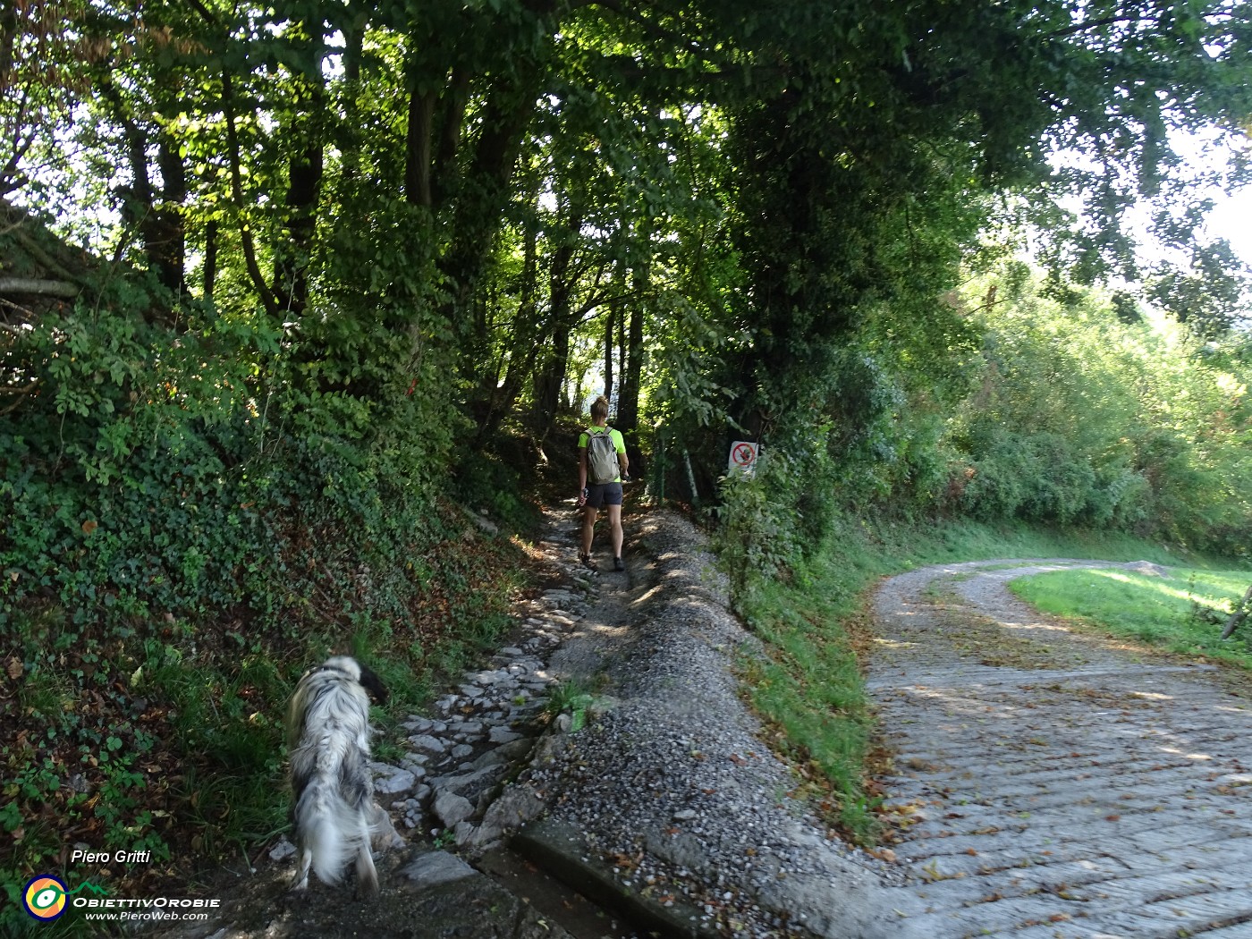 68 Prendiamo il sentiero che da Carnito ci rporta nel bosco a Inzogno-S. Bernardino di Zogno.JPG